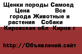 Щенки породы Самоед › Цена ­ 20 000 - Все города Животные и растения » Собаки   . Кировская обл.,Киров г.